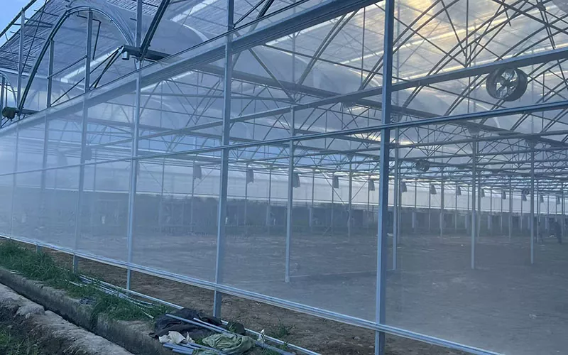 Kasvuhoone putukate võrk juhib kahjuritõrje uut suundumust